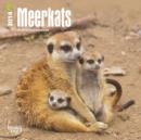 Image for Meerkats 2014 Mini Calendar