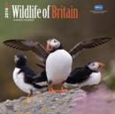 Image for Wildlife of Britain 2014 Wall Calendar RSPCA