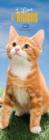 Image for I Love Kittens RSPCA 2014 Slim Calendar