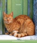 Image for Cat Lovers 2015 Personal Planner
