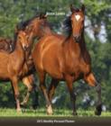 Image for Horse Lovers 2015 Personal Planner