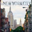 Image for New York City 2015 Wall