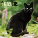 Image for Black Cats 2015 Wall