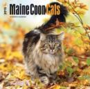 Image for Maine Coon Cats 2015 Wall