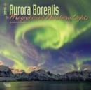 Image for Aurora Borealis : The Magnificent Northern Lights 2015 Wall