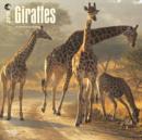 Image for Giraffes 2015 Wall