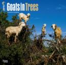 Image for Goats in Trees 2015 Wall
