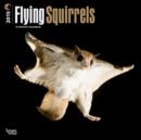 Image for Flying Squirrels 2015 Wall