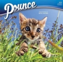 Image for Pounce 2019 Square Wall Calendar