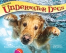 Image for Underwater Dogs 2019 Day-to-Day Calendar