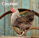 Image for Chickens 2019 Square Wall Calendar