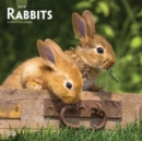 Image for Rabbits 2019 Square Wall Calendar