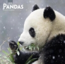 Image for Pandas 2019 Square Wall Calendar