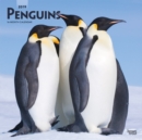 Image for Penguins 2019 Square Wall Calendar