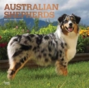 Image for Australian Shepherds 2019 Square Wall Calendar