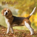 Image for Beagles 2019 Square Wall Calendar