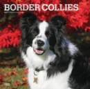 Image for Border Collies 2019 Square Wall Calendar