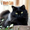 Image for Black Cats 2018 Wall Calendar