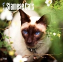 Image for Siamese Cats 2018 Wall Calendar