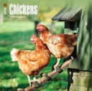 Image for Chickens 2018 Wall Calendar