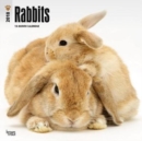 Image for Rabbits 2018 Wall Calendar