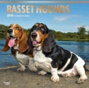 Image for Basset Hounds 2018 Wall Calendars