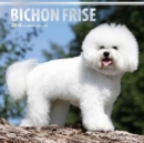 Image for Bichon Frise 2018 Wall Calendar