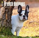 Image for French Bulldogs 2018 Wall Calendar