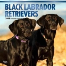 Image for Labrador Retrievers, Black 2018 Wall Calendar