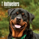 Image for Rottweilers 2018 Wall Calendar