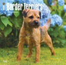 Image for Border Terriers 2018 Wall Calendar