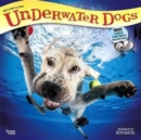 Image for Underwater Dogs 2018 Wall Calendar