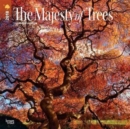 Image for Majesty of Trees, the 2018 Wall Calendar