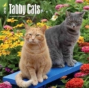 Image for Tabby Cats 2018 Wall Calendar