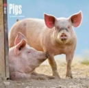 Image for Pigs 2018 Wall Calendar
