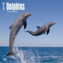 Image for Dolphins 2018 Wall Calendar