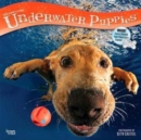 Image for Underwater Puppies 2018 Wall Calendar