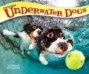 Image for Underwater Dogs 2018 Day-to-Day Calendar