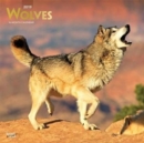 Image for Wolves 2019 Square Wall Calendar