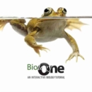 Image for Biology One : An Interactive Biology Tutorial: Volume 1