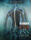Image for Human CNS and PNS Structure