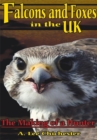 Image for Falcons and Foxes in the U.K: The Making of a Hunter