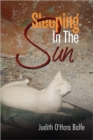 Image for Sleeping in the Sun
