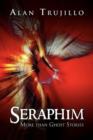Image for Seraphim : More Than Ghost Stories