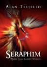 Image for Seraphim : More Than Ghost Stories