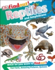 Image for DKfindout! Reptiles and Amphibians