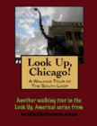 Image for Look Up, Chicago! A Walking Tour of The Loop (South End)