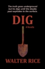 Image for Dig