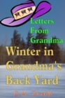 Image for Winter In Grandma&#39;s Back Yard