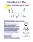 Image for Seeing Eyecharts Clear-Natural Vision Improvement for Clear Close, Distant Vision : &amp; Astigmatism Removal (Black &amp; White Edition)